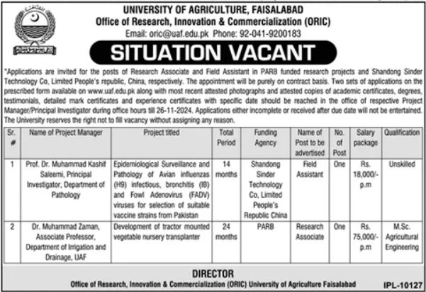  Jobs 2024 University Of Agriculture Faisalabad ORIC