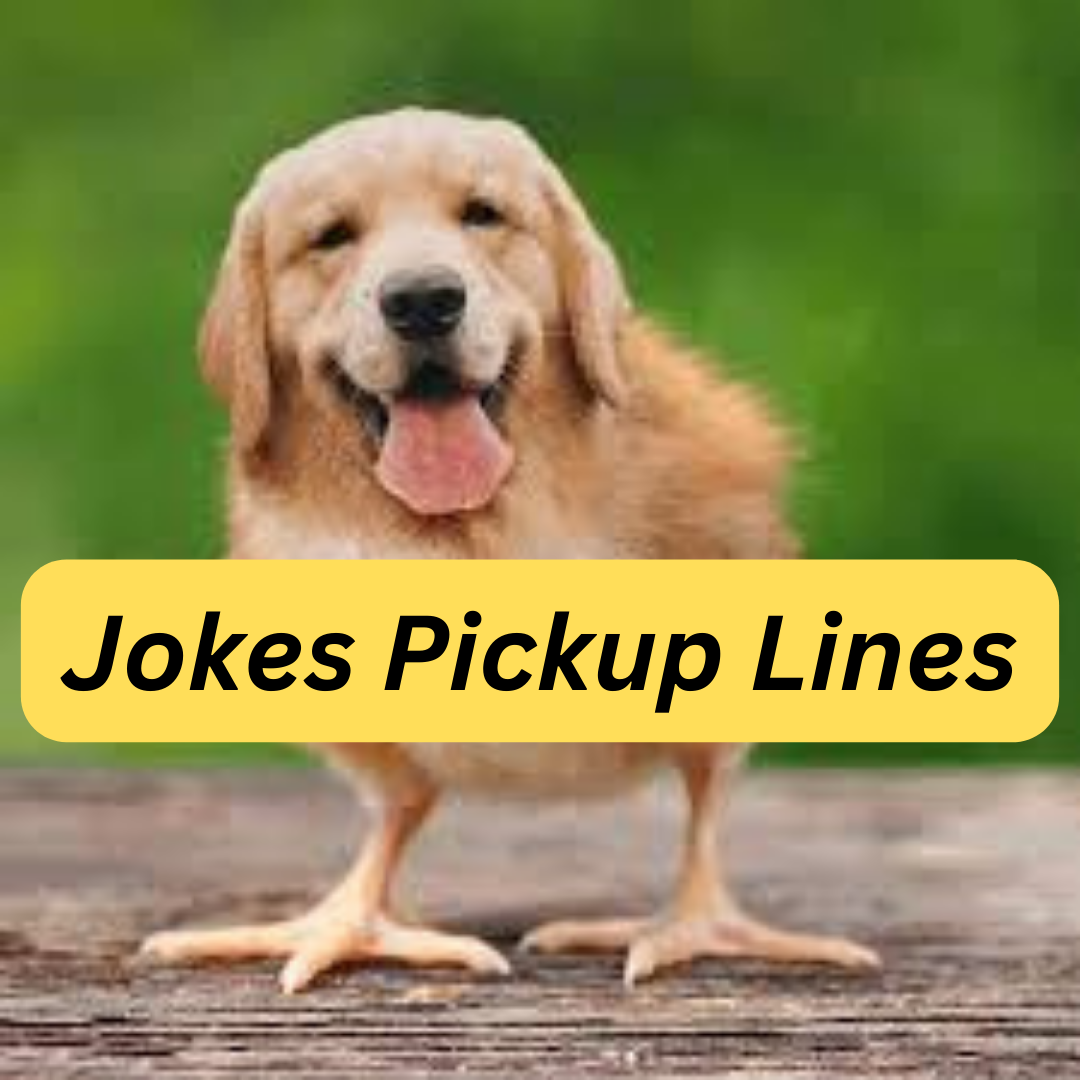 jokes pick lines