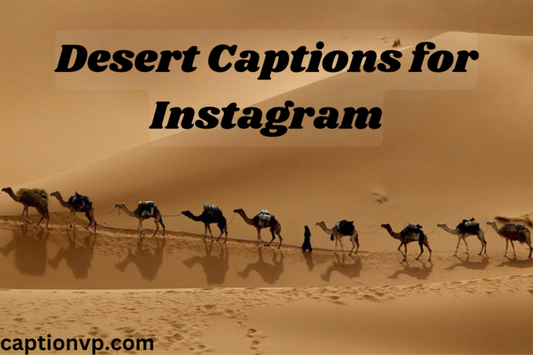 Best Desert Captions for Instagram