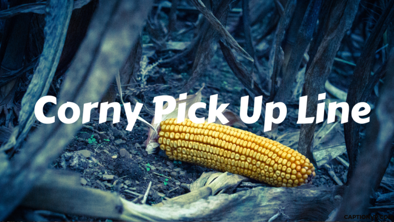 Best Corny Pick Up Line