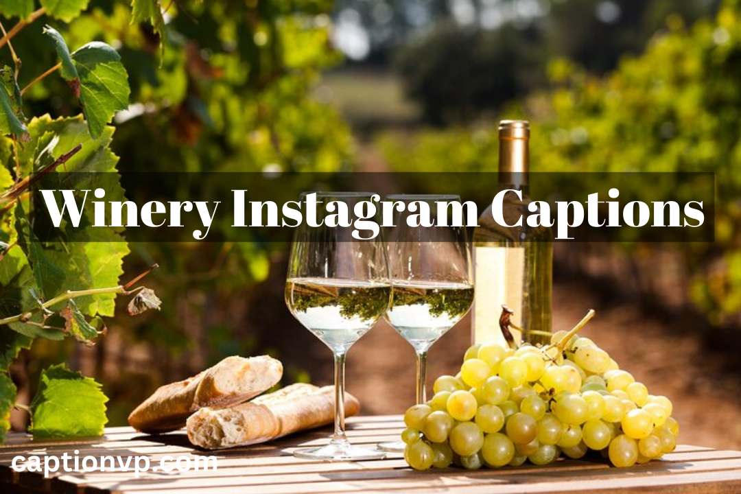 Best Winery Instagram Captions for Wedding Celebrations